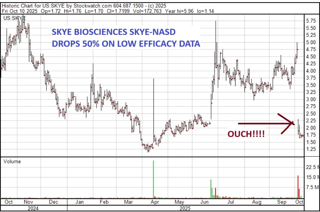 THE SKYE FELL AFTER MUTED INTERIM DATA